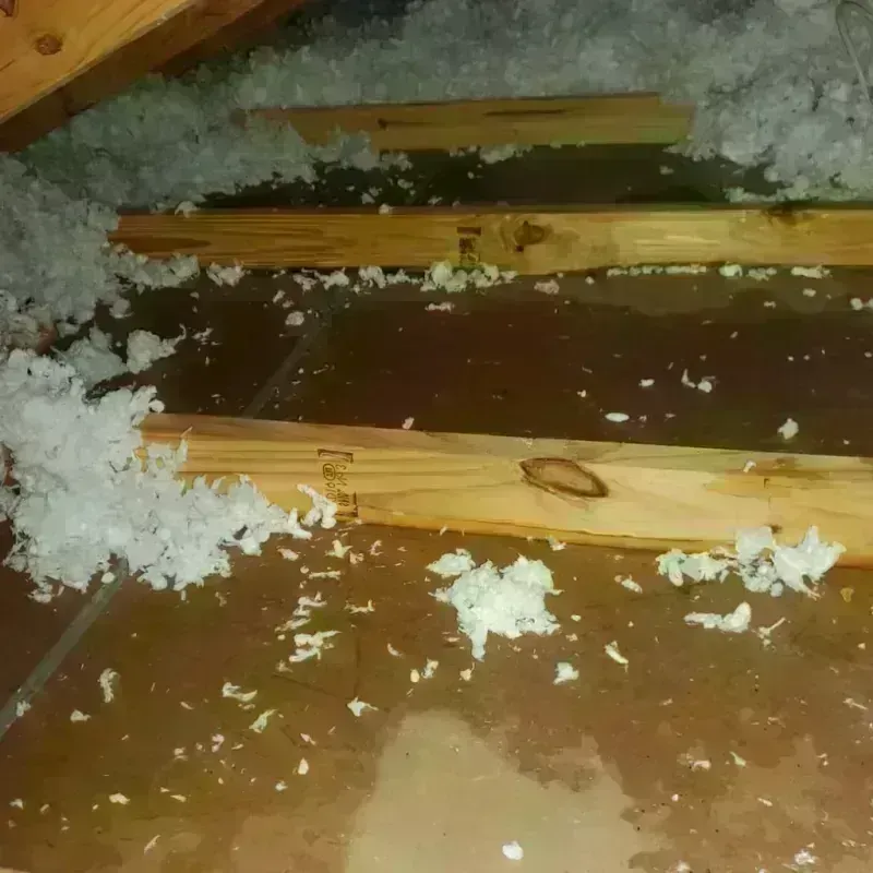 Attic Water Damage in Salt Lake County, UT