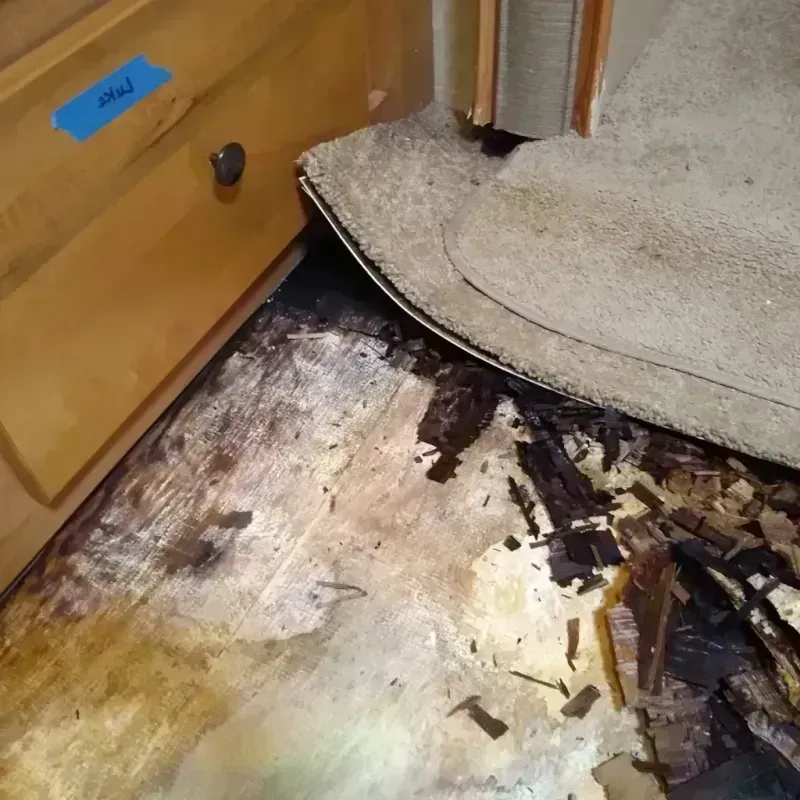 Wood Floor Water Damage in Salt Lake County, UT